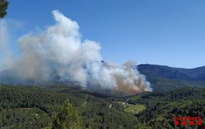 incendi pradell