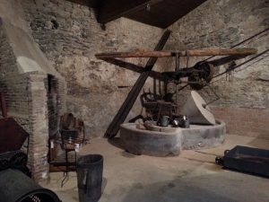 moli d'oli pradell de la teixeta 3