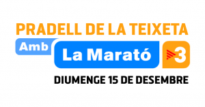 banner Marató 2019