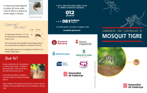 fullet_mosquit_2016_Cat_Página_1