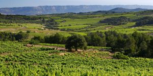 banc terres priorat