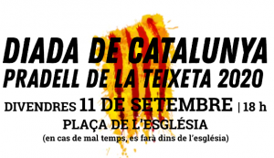 banner diada catalunya
